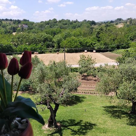 멜리차노 Al Boschetto B&B 외부 사진